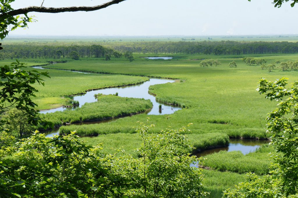 Kushiro Marsh Travel Life in Japan