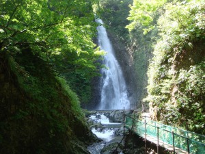 Anmon Falls (The 1st Fall)