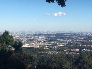Panoramic View of Tokyo         